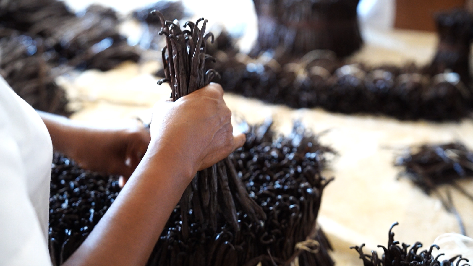 Black Vanilla - Gourmet Black